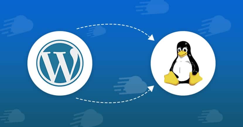 Установка WordPress на Linux (пошагово)